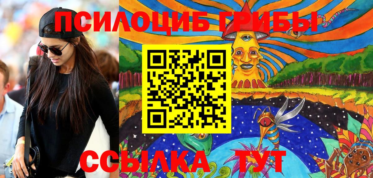 Галлюциногенные грибы прущие грибы  Вход с VPN  Шебекино 